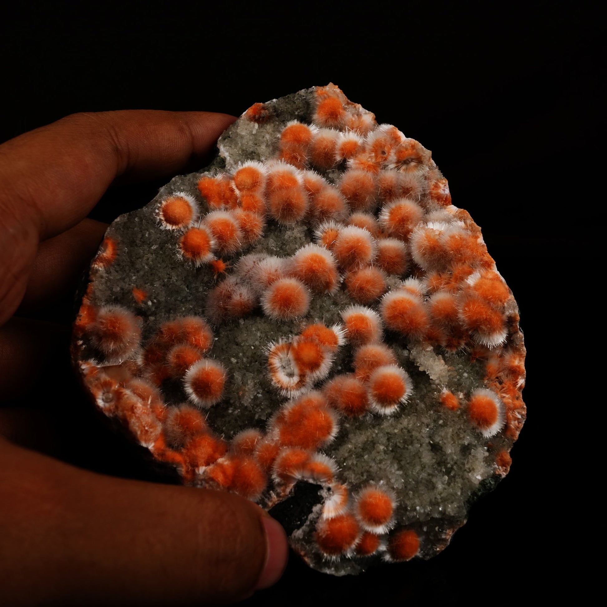 Dark orange thomsonite radial formations with hair-thin mesolite across the surface on a heulandite matrix.