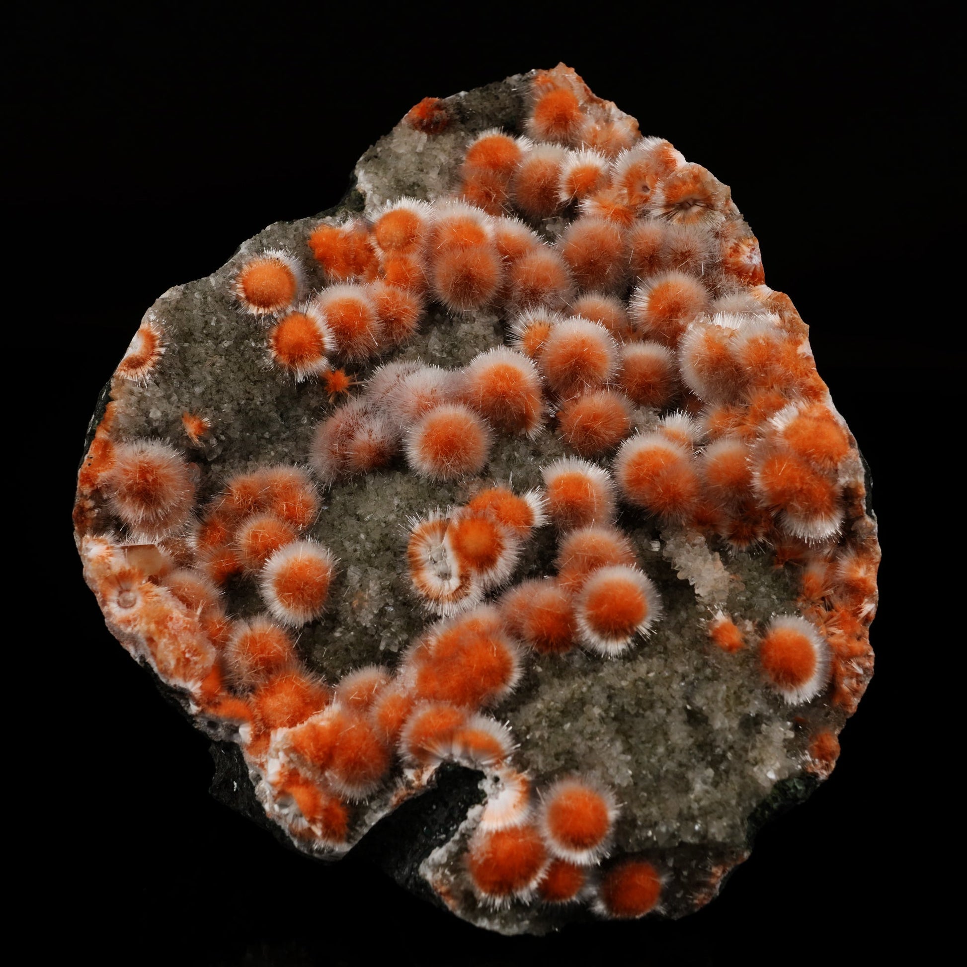 Dark orange thomsonite radial formations with hair-thin mesolite across the surface on a heulandite matrix.