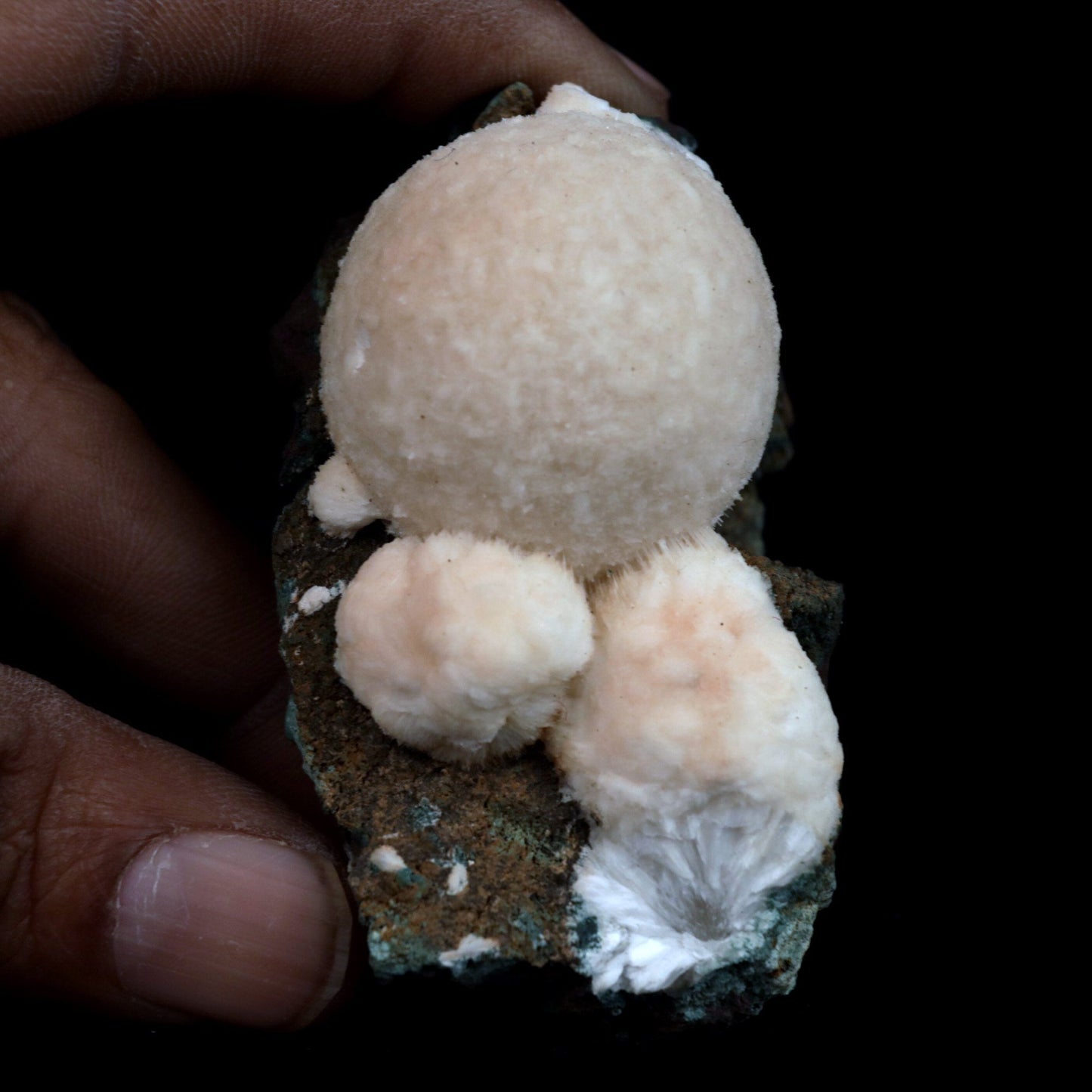 Thomsonite (Rare Pink) Balls Natural Mineral Specimen # B 4817 https://www.superbminerals.us/products/thomsonite-rare-pink-balls-natural-mineral-specimen-b-4817 Features: This is an excellent show specimen with lovely semi-velvety radiating spheres of Thomsonite over minor green and brown contrasting basalt. The piece's best feature is that it is not the usual white hue observed in Thomsonite, but rather a unique and exquisite rose PINK colour on the surface,