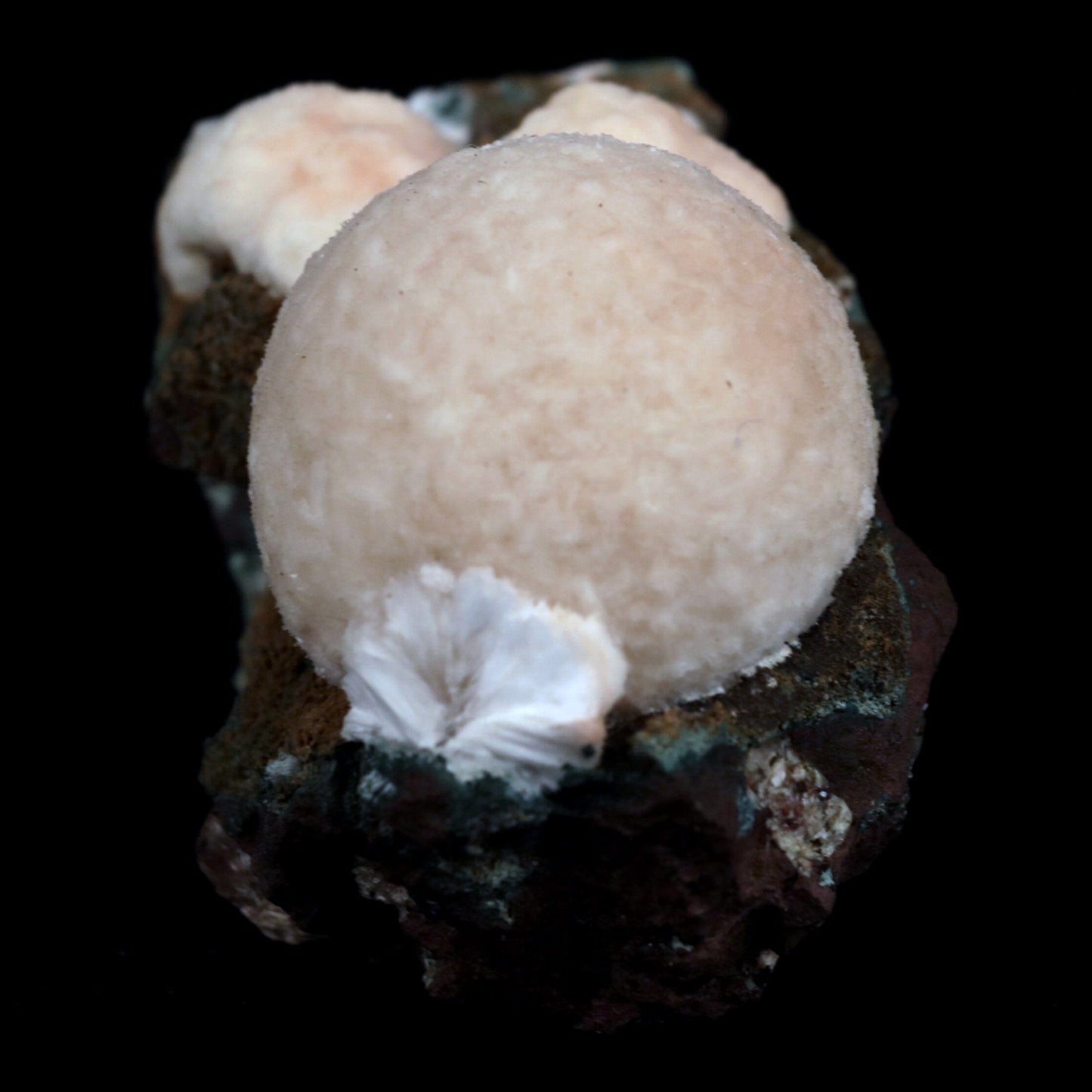 Thomsonite (Rare Pink) Balls Natural Mineral Specimen # B 4817 https://www.superbminerals.us/products/thomsonite-rare-pink-balls-natural-mineral-specimen-b-4817 Features: This is an excellent show specimen with lovely semi-velvety radiating spheres of Thomsonite over minor green and brown contrasting basalt. The piece's best feature is that it is not the usual white hue observed in Thomsonite, but rather a unique and exquisite rose PINK colour on the surface,
