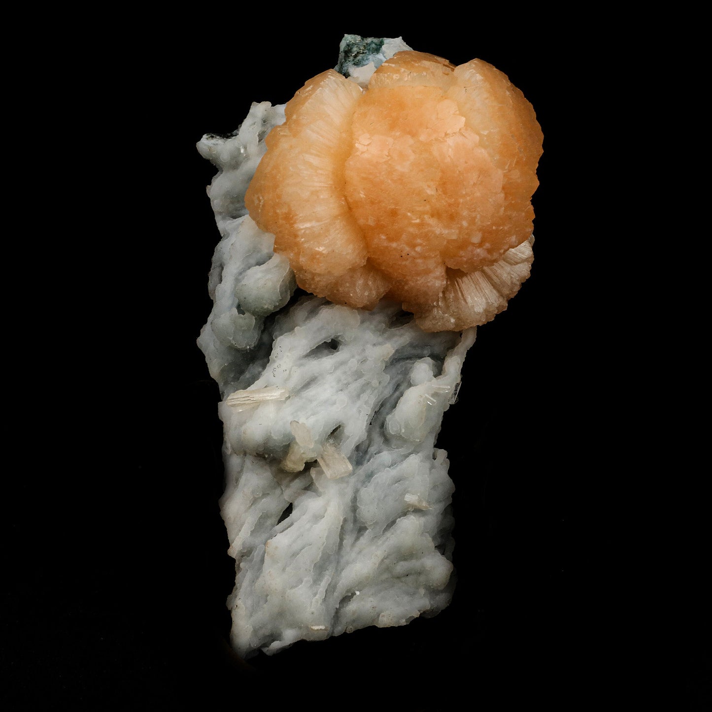 Twin Stellerlite on Chalcedony Natural Mineral Specimen # B 5138 https://www.superbminerals.us/products/twin-stellerlite-on-chalcedony-natural-mineral-specimen-b-5138 Features: Cluster of bright orange stellerite with chalcedony. Parallel growth of stellerite crystals is clearly visible. Stellerite has deep orange color. Primary Mineral(s): Stellerite Secondary Mineral(s): N/AMatrix: Chalcedony 4.5 Inch x 2.5 InchWeight : 205 GmsLocality: Jalgaon, Maharashtra, I