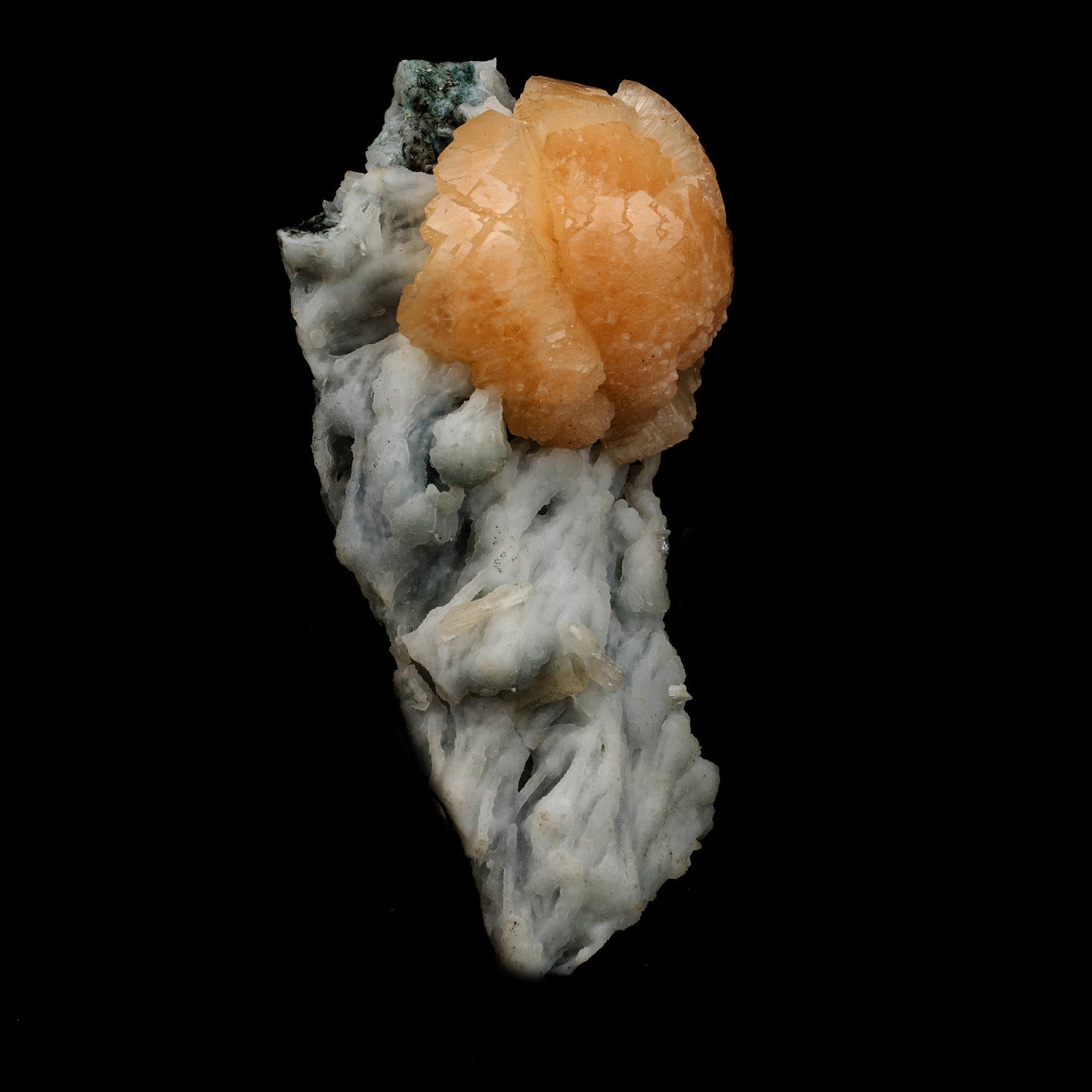 Twin Stellerlite on Chalcedony Natural Mineral Specimen # B 5138  https://www.superbminerals.us/products/twin-stellerlite-on-chalcedony-natural-mineral-specimen-b-5138  Features: Cluster of bright orange stellerite with chalcedony. Parallel growth of stellerite crystals is clearly visible. Stellerite has deep orange color. Primary Mineral(s): Stellerite Secondary Mineral(s): N/AMatrix: Chalcedony 4.5 Inch x 2.5 InchWeight : 205 GmsLocality: Jalgaon, Maharashtra, I