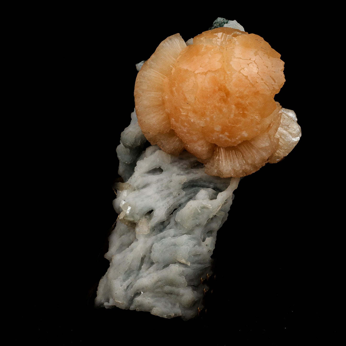Twin Stellerlite on Chalcedony Natural Mineral Specimen # B 5138 https://www.superbminerals.us/products/twin-stellerlite-on-chalcedony-natural-mineral-specimen-b-5138 Features: Cluster of bright orange stellerite with chalcedony. Parallel growth of stellerite crystals is clearly visible. Stellerite has deep orange color. Primary Mineral(s): Stellerite Secondary Mineral(s): N/AMatrix: Chalcedony 4.5 Inch x 2.5 InchWeight : 205 GmsLocality: Jalgaon, Maharashtra, I