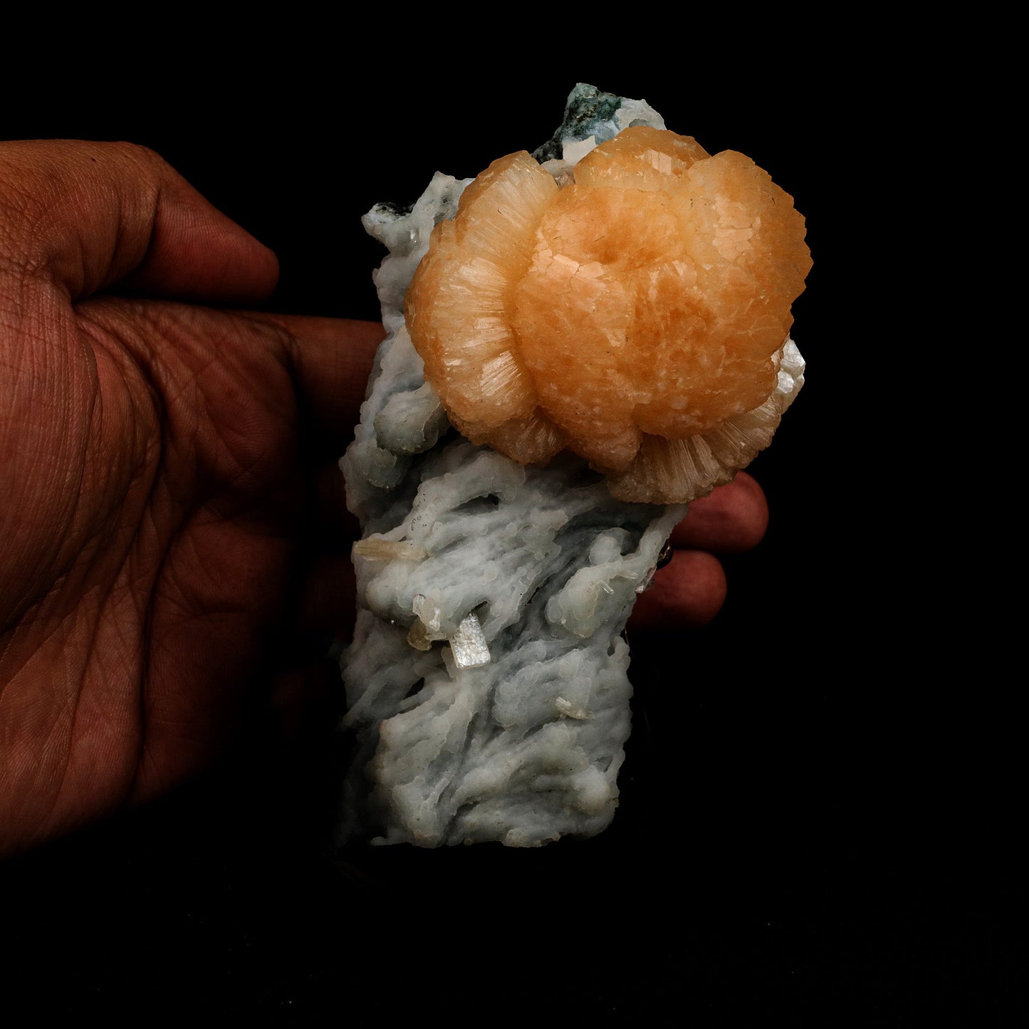 Twin Stellerlite on Chalcedony Natural Mineral Specimen # B 5138 https://www.superbminerals.us/products/twin-stellerlite-on-chalcedony-natural-mineral-specimen-b-5138 Features: Cluster of bright orange stellerite with chalcedony. Parallel growth of stellerite crystals is clearly visible. Stellerite has deep orange color. Primary Mineral(s): Stellerite Secondary Mineral(s): N/AMatrix: Chalcedony 4.5 Inch x 2.5 InchWeight : 205 GmsLocality: Jalgaon, Maharashtra, I