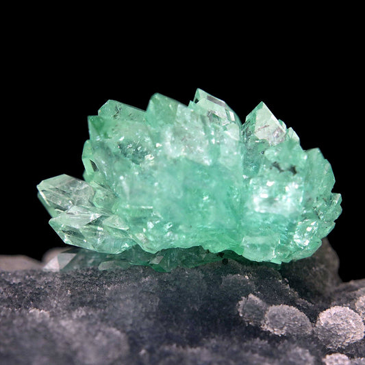 The 2022 Tucson Gem & Mineral Shows