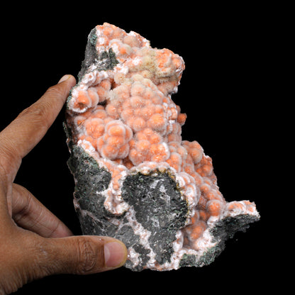Orange Thomsonite with Mesolite on Matrix – Big Size Freestanding Collector Mineral Natural Zeolite Specimen from Madhya Pradesh, India # B 7154
