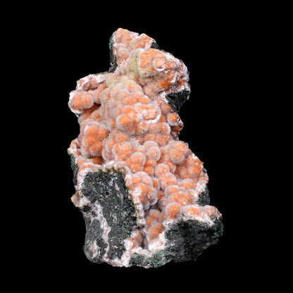 Orange Thomsonite with Mesolite on Matrix – Big Size Freestanding Collector Mineral Natural Zeolite Specimen from Madhya Pradesh, India # B 7154
