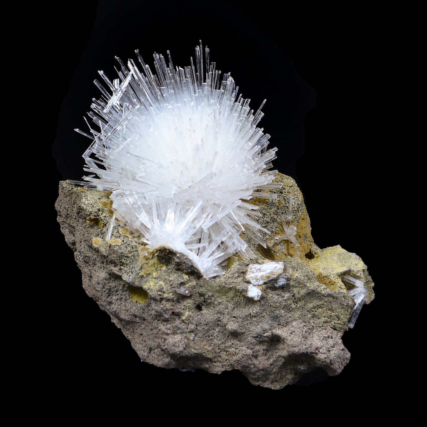 Fine Scolecite Spray Flower on Basalt Matrix - Collector’s Zeolite Specimen from Nashik, India # B 7193