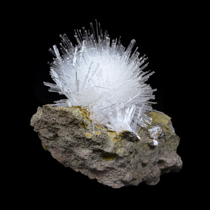 Fine Scolecite Spray Flower on Basalt Matrix - Collector’s Zeolite Specimen from Nashik, India # B 7193