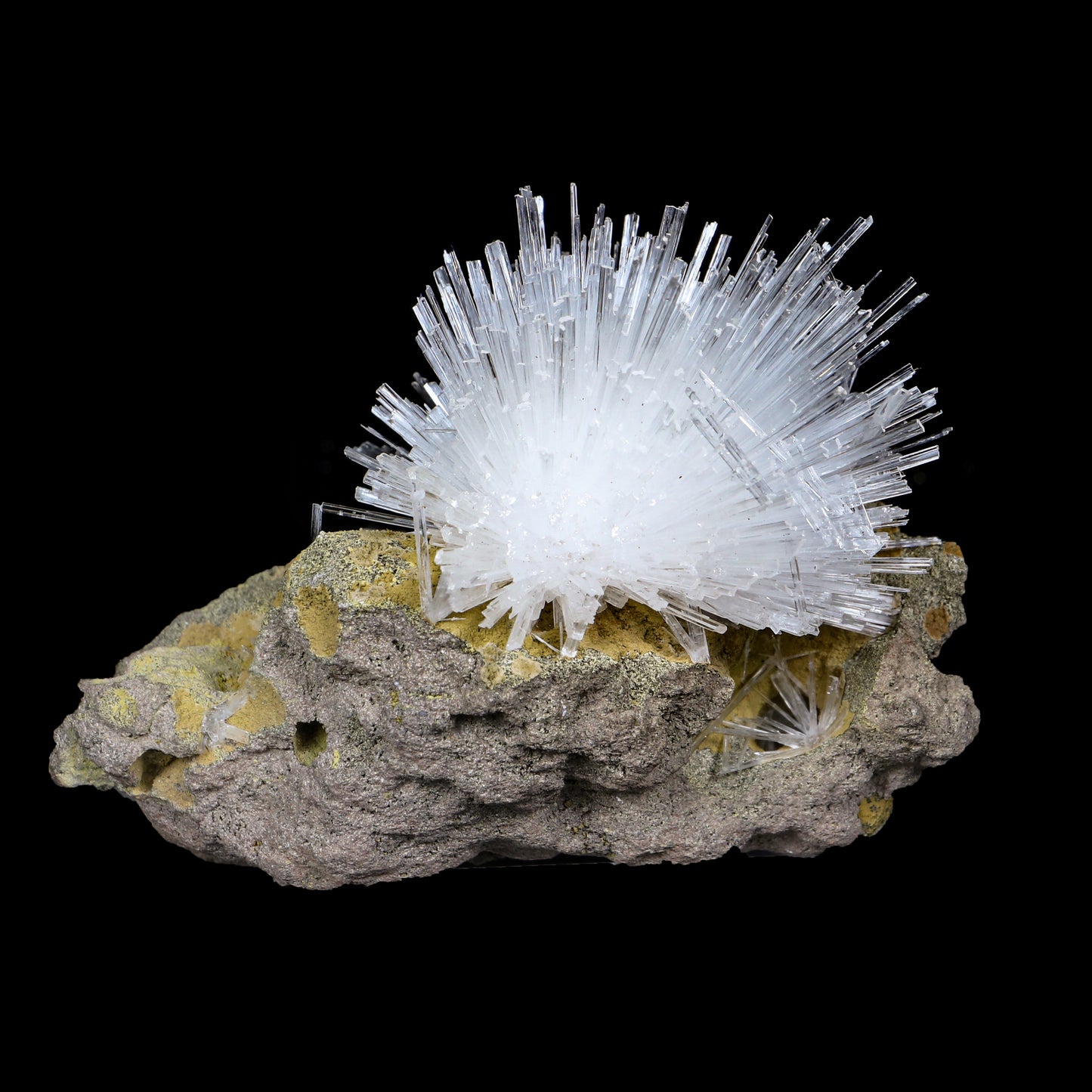 Fine Scolecite Spray Flower on Basalt Matrix - Collector’s Zeolite Specimen from Nashik, India # B 7193