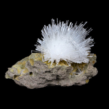 Fine Scolecite Spray Flower on Basalt Matrix - Collector’s Zeolite Specimen from Nashik, India # B 7193