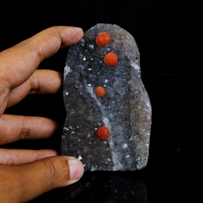 Rare Red Botryoidal Fluorite Spheres on Sparkling Quartz Matrix - Museum-Grade Specimen from Nashik, India # B 7208