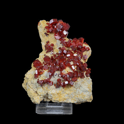Lustrous Deep Red-Orange Vanadinite Crystals on Natural Matrix - Classic Collector Specimen from Mibladen, Morocco # B 7222