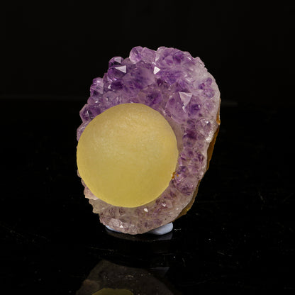 Rare Gemmy Yellow Botryoidal Fluorite Orb Centered on Vibrant Purple Amethyst Cluster - Collector’s Cabinet Specimen # B 7252