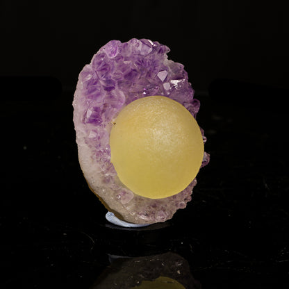 Rare Gemmy Yellow Botryoidal Fluorite Orb Centered on Vibrant Purple Amethyst Cluster - Collector’s Cabinet Specimen # B 7252