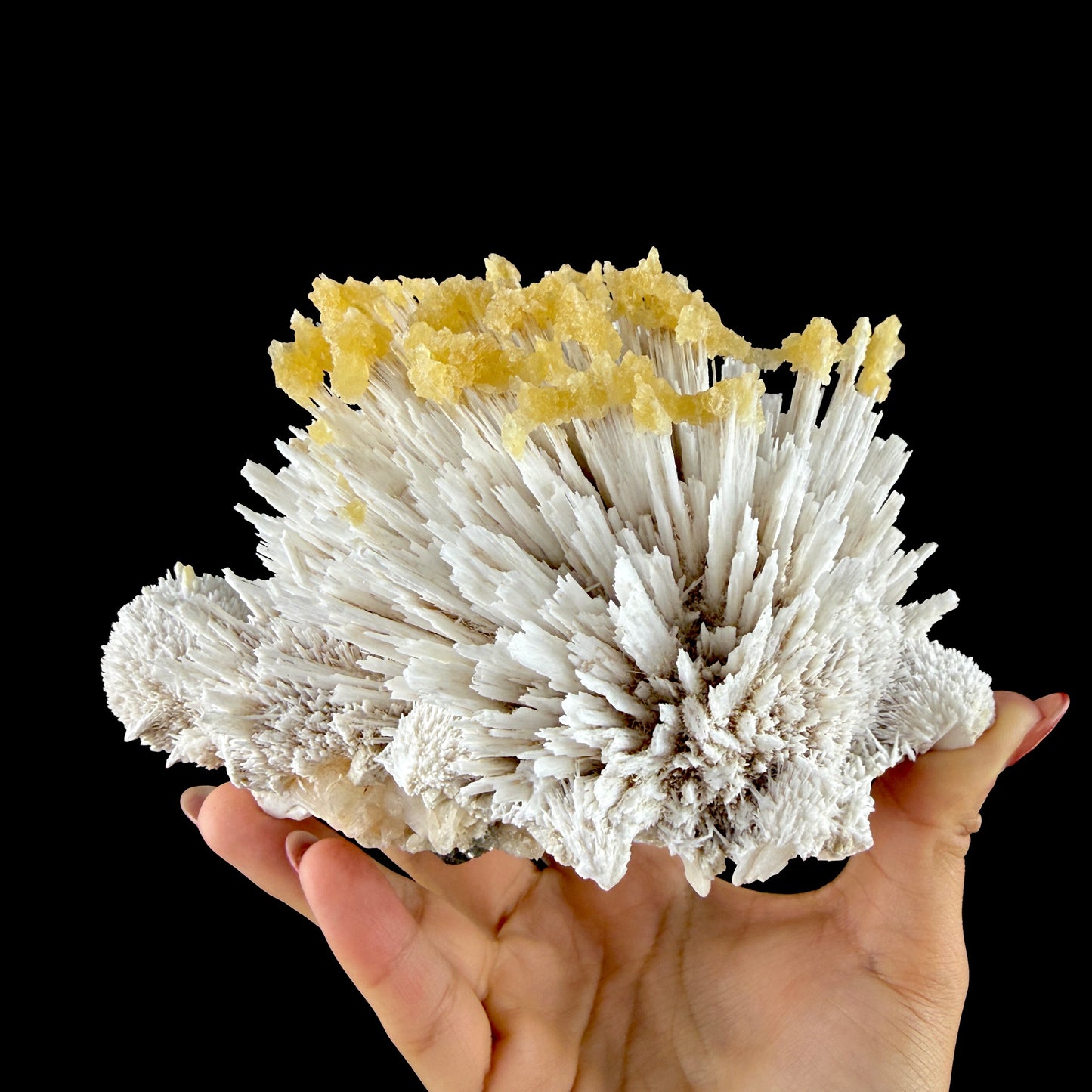 Honey Calcite on Mordenite Spray Burst - Collector’s Indian Zeolite Specimen from Pune,India # DKT147