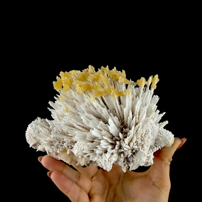 Honey Calcite on Mordenite Spray Burst - Collector’s Indian Zeolite Specimen from Pune,India # DKT147