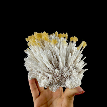 Honey Calcite on Mordenite Spray Burst - Collector’s Indian Zeolite Specimen from Pune,India # DKT147