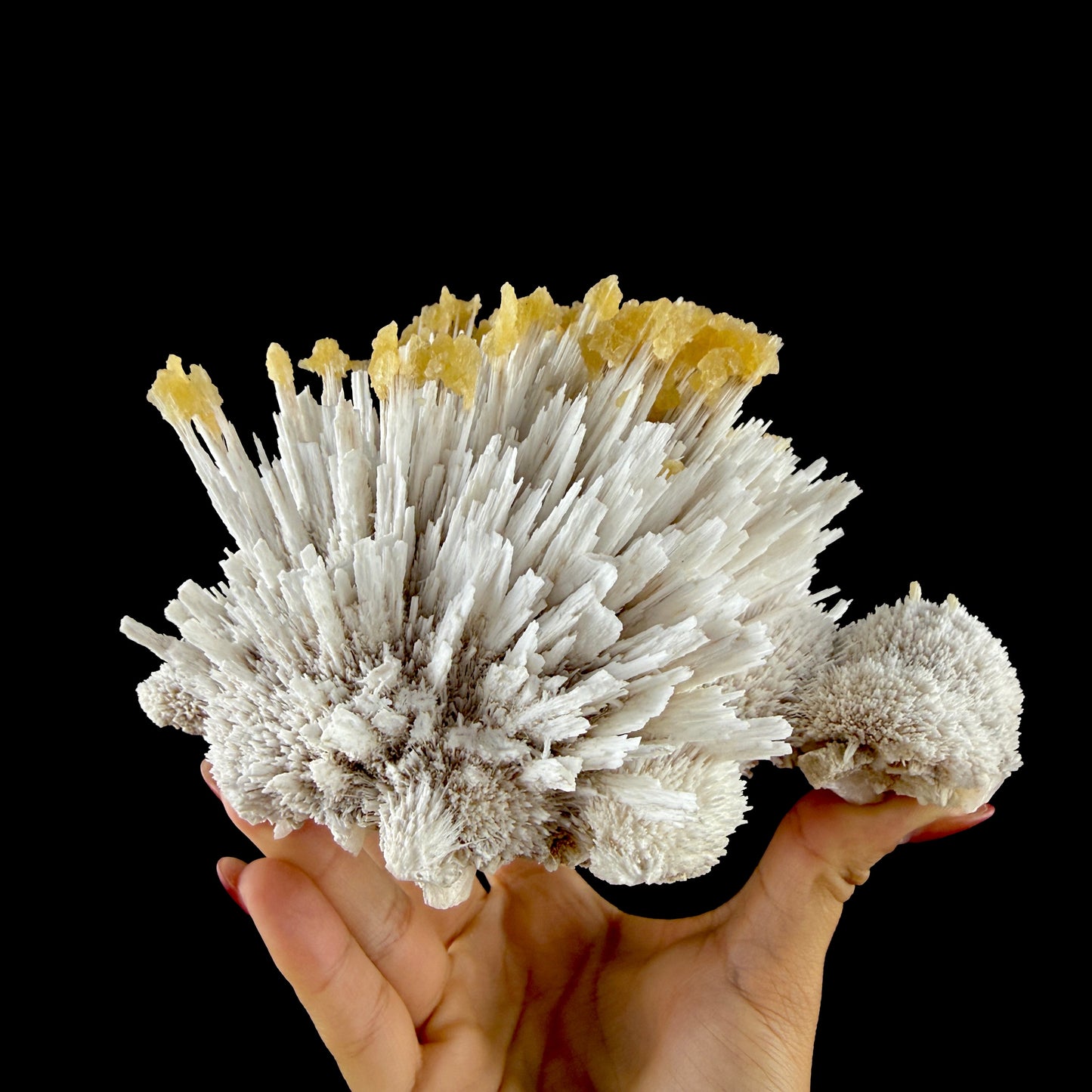 Honey Calcite on Mordenite Spray Burst - Collector’s Indian Zeolite Specimen from Pune,India # DKT147