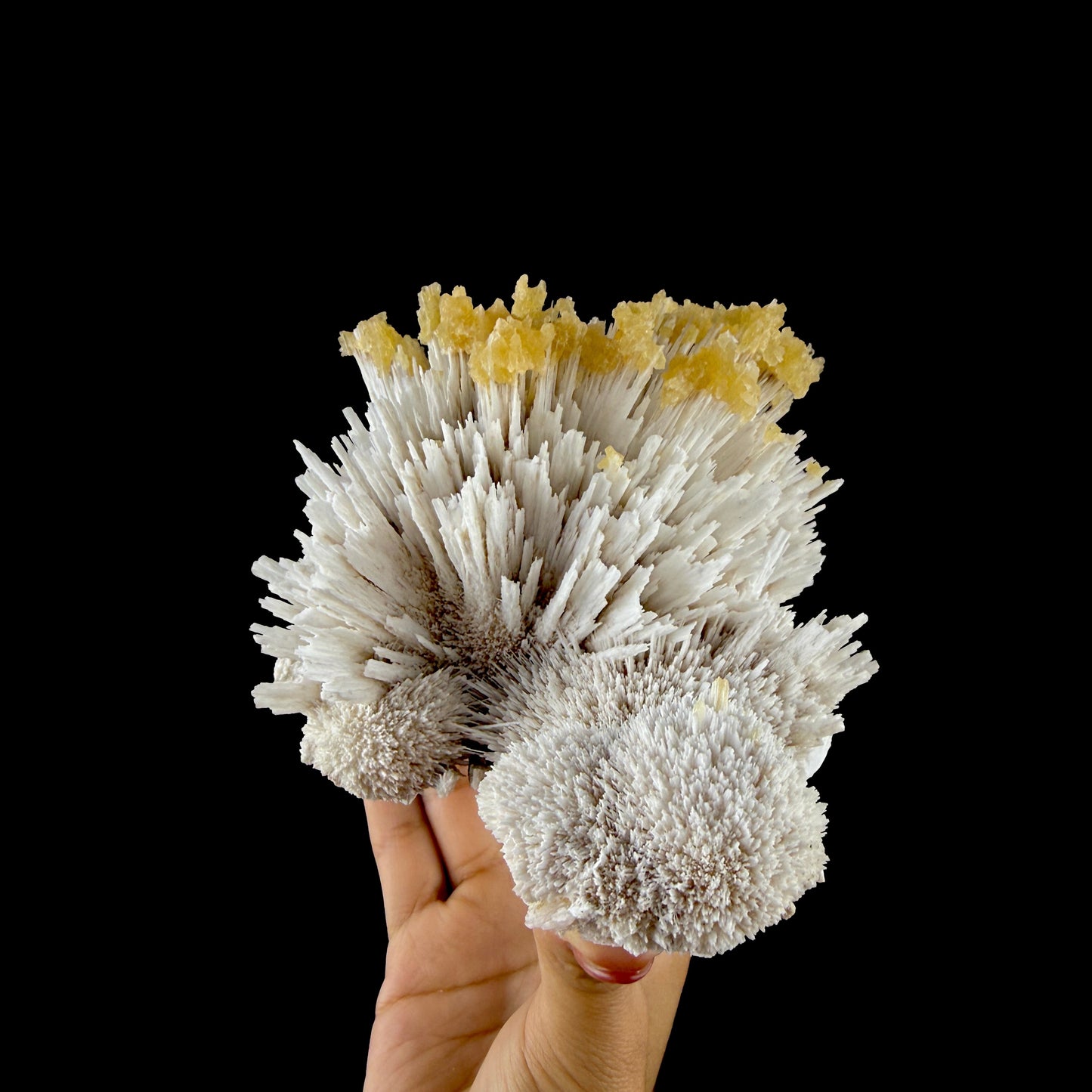 Honey Calcite on Mordenite Spray Burst - Collector’s Indian Zeolite Specimen from Pune,India # DKT147