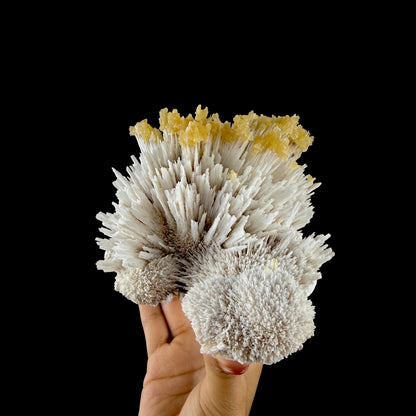 Honey Calcite on Mordenite Spray Burst - Collector’s Indian Zeolite Specimen from Pune,India # DKT147