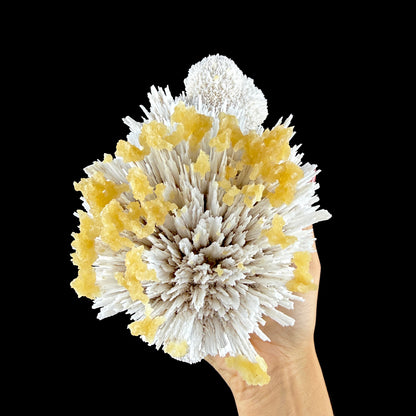 Honey Calcite on Mordenite Spray Burst - Collector’s Indian Zeolite Specimen from Pune,India # DKT147