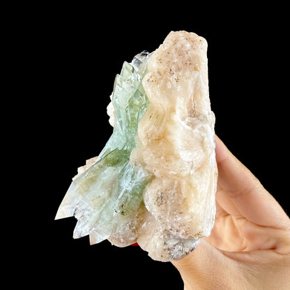 Lustrous Green Apophyllite Points on Stilbite Matrix - Natural Indian Zeolite from Jalgaon # DKT149