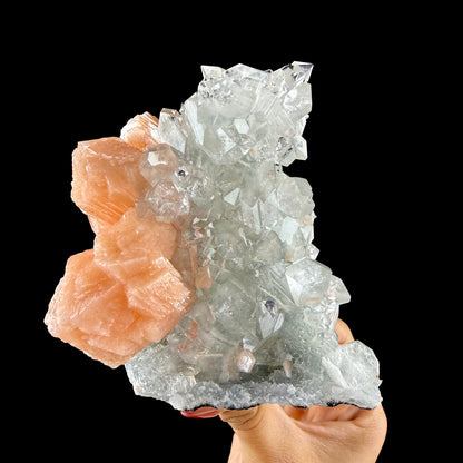 Lustrous Apophyllite Pyramid Cluster on Peach Stilbite - Natural Indian Zeolite from Jalgaon # DKT150