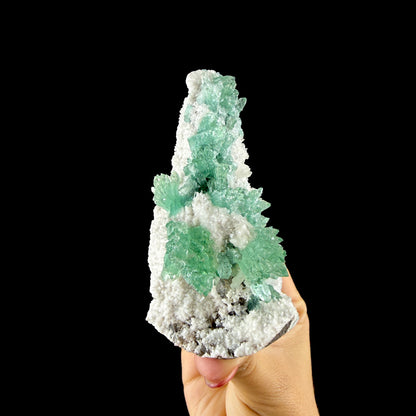 Emerald-Green Apophyllite on Chalcedony Matrix - Collector’s Indian Zeolite Specimen from Pune # DKT151