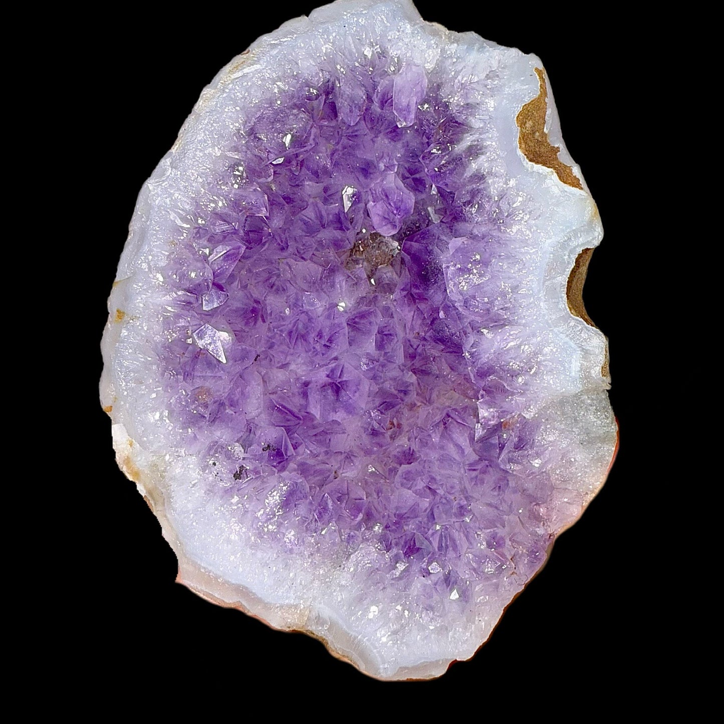 Amethyst Geode | High Quality Mineral | Indian Mineral | Fine Mineral | Superb Minerals Amethyst Superb Minerals 