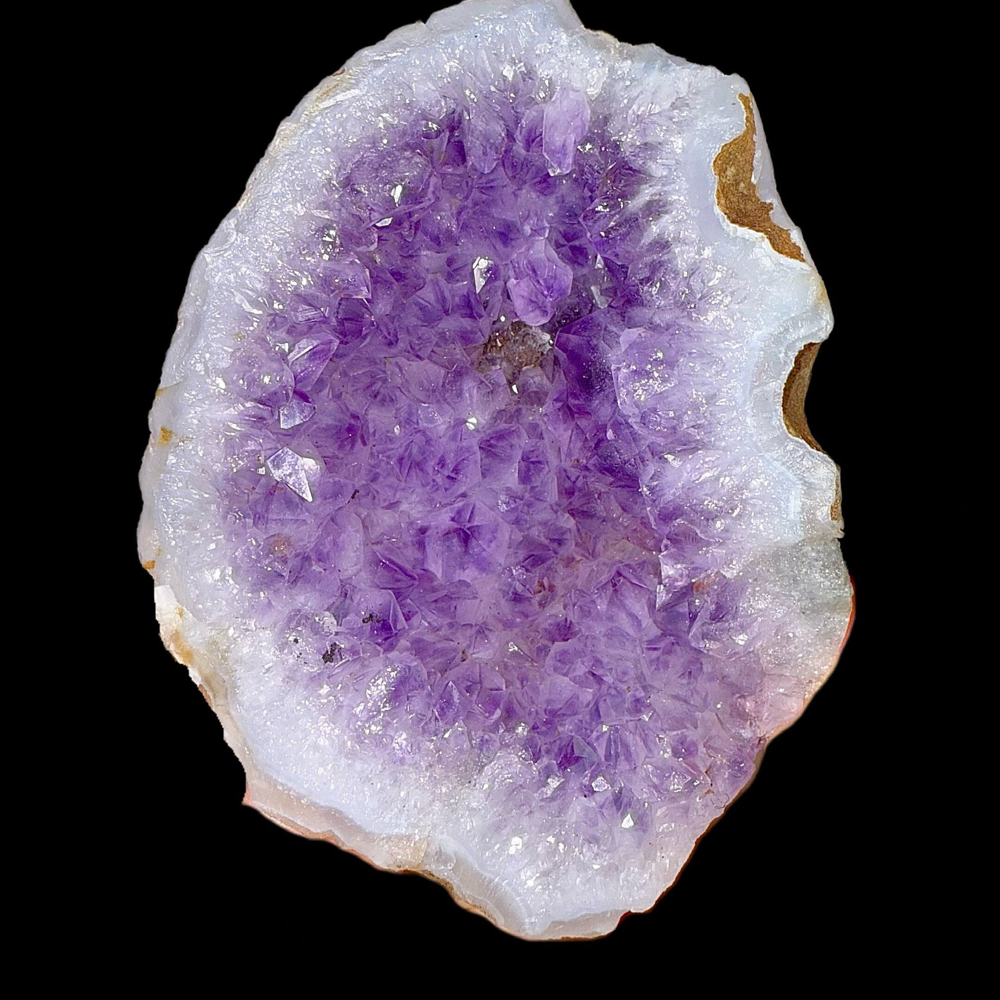 Amethyst Geode | High Quality Mineral | Indian Mineral | Fine Mineral | Superb Minerals Amethyst Superb Minerals 