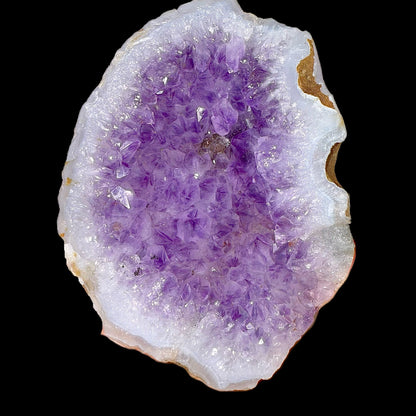 Amethyst Geode | High Quality Mineral | Indian Mineral | Fine Mineral | Superb Minerals Amethyst Superb Minerals 