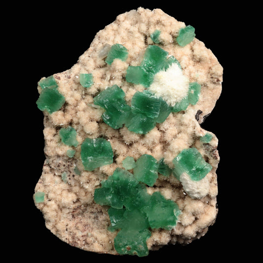 Apophyllite green with Mordenite Free Standing Natural Mineral Specimen # B 6789 Apophyllite Superb Minerals 