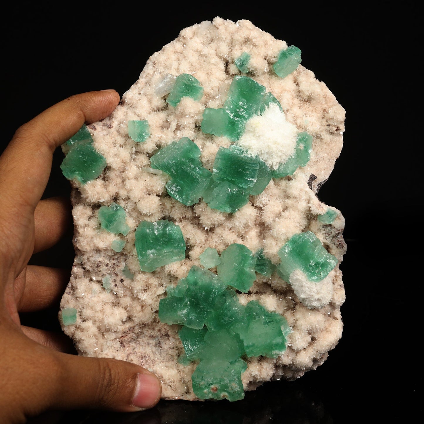 Apophyllite green with Mordenite Free Standing Natural Mineral Specimen # B 6789 Apophyllite Superb Minerals 