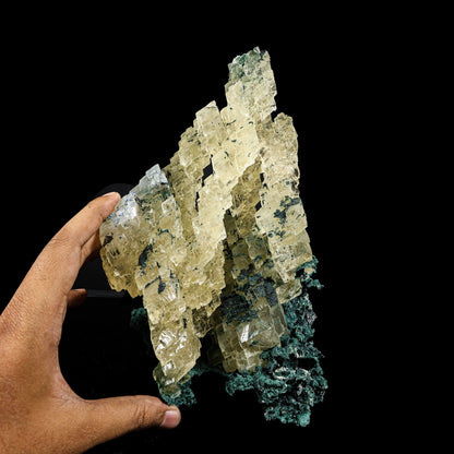 Architectural Stepped Yellow Calcite Cluster on Dark Celadonite Matrix - Rare Collector’s Cabinet Specimen from Jalgaon, India # B 7385 Calcite Superb Minerals 