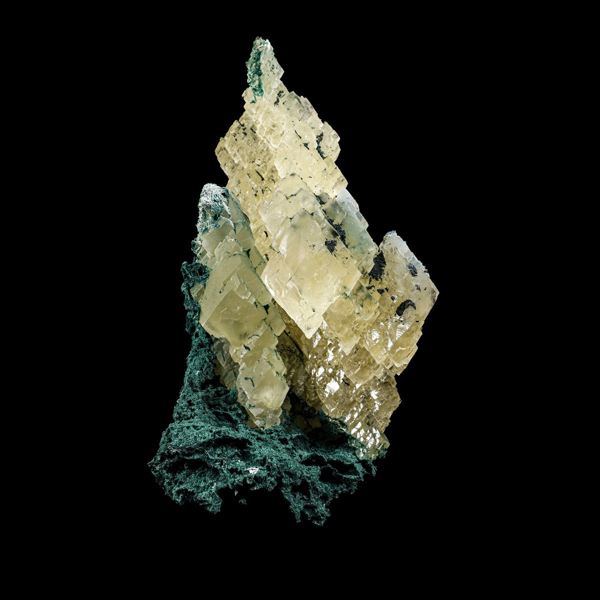 Architectural Stepped Yellow Calcite Cluster on Dark Celadonite Matrix - Rare Collector’s Cabinet Specimen from Jalgaon, India # B 7385 Calcite Superb Minerals 