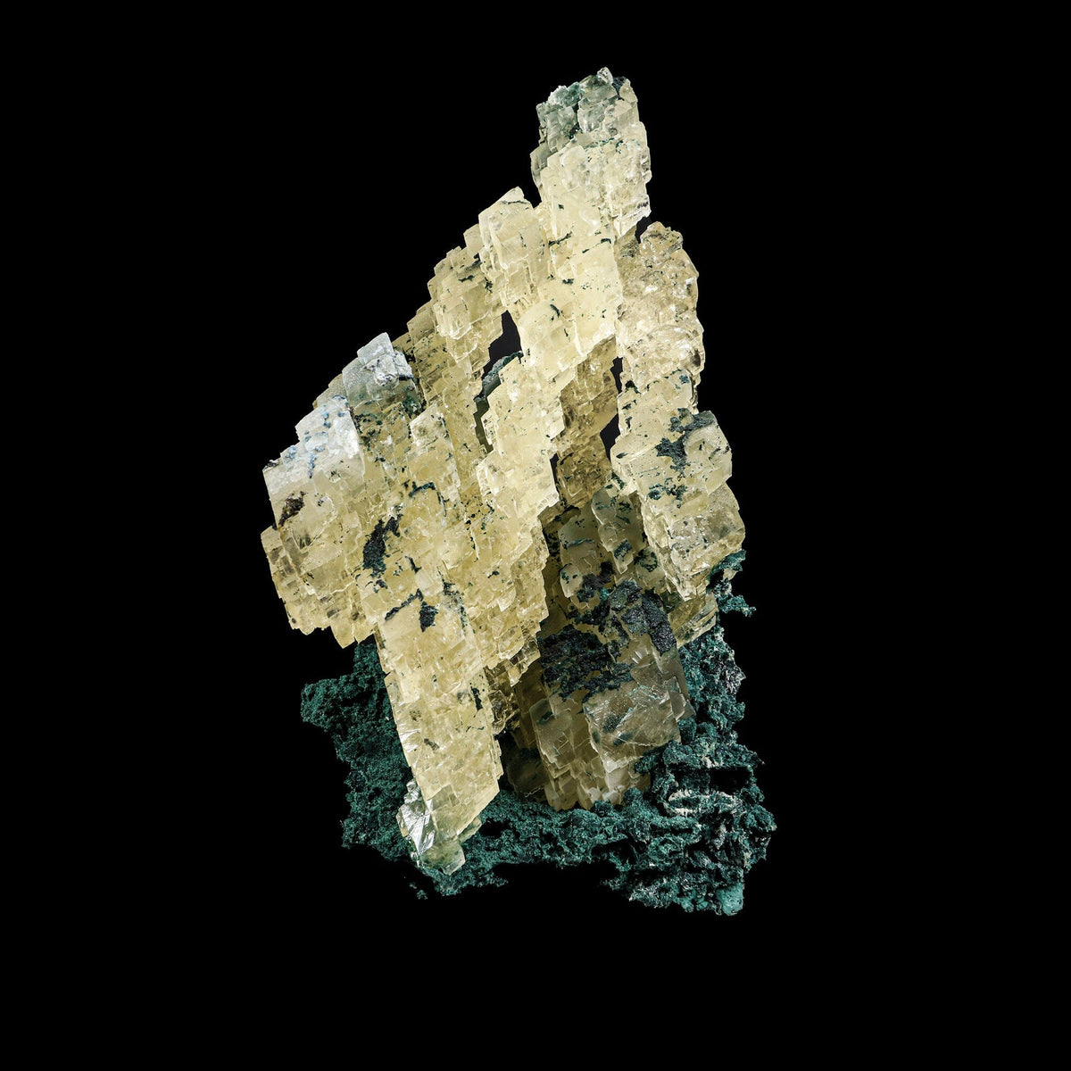 Architectural Stepped Yellow Calcite Cluster on Dark Celadonite Matrix - Rare Collector’s Cabinet Specimen from Jalgaon, India # B 7385 Calcite Superb Minerals 