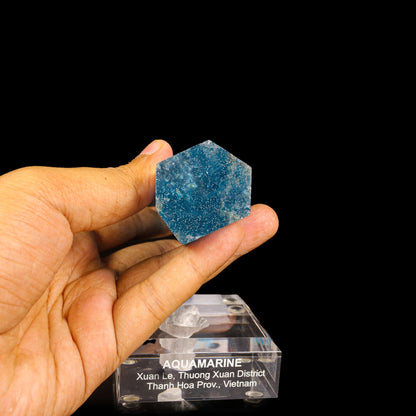 Blue Beryl var. Aquamarine Natural Mineral Specimen # B 6824 Apohyllite Superb Minerals 