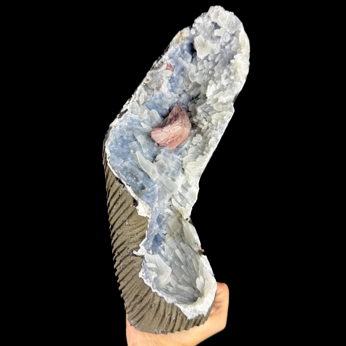 Blue Chalcedony with Pink Heulandite Crystals - Collector’s Large Cabinet Specimen from Jalgaon, India # DKT171 Heulandite Superb Minerals 