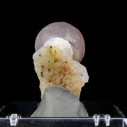 Botryoidal Fluorite on Quartz – Natural Mineral Specimen # B 7159 Fluorite Superb Minerals 