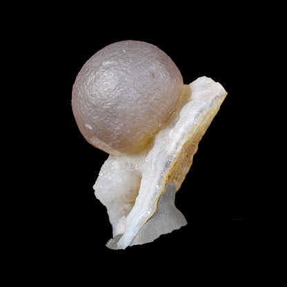 Botryoidal Fluorite on Quartz – Natural Mineral Specimen # B 7159 Fluorite Superb Minerals 
