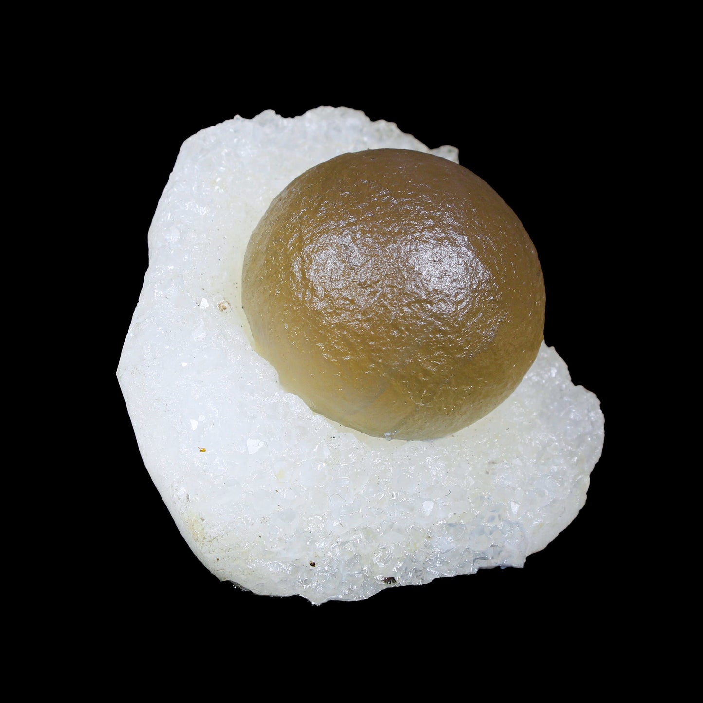 Botryoidal Fluorite on Quartz – Natural Mineral Specimen # B 7162 Fluorite Superb Minerals 