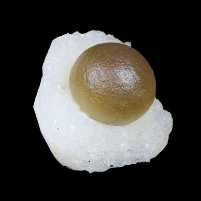 Botryoidal Fluorite on Quartz – Natural Mineral Specimen # B 7162 Fluorite Superb Minerals 