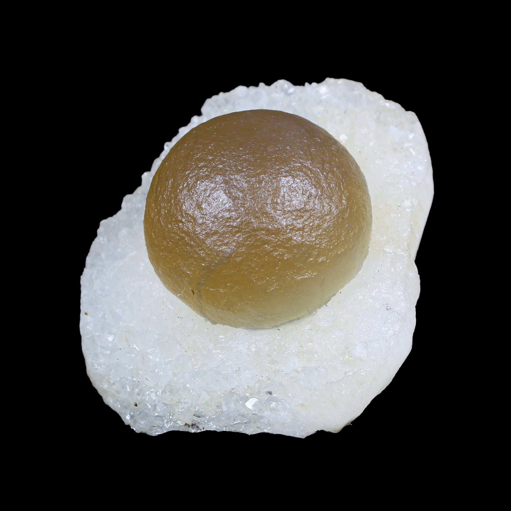 Botryoidal Fluorite on Quartz – Natural Mineral Specimen # B 7162 Fluorite Superb Minerals 