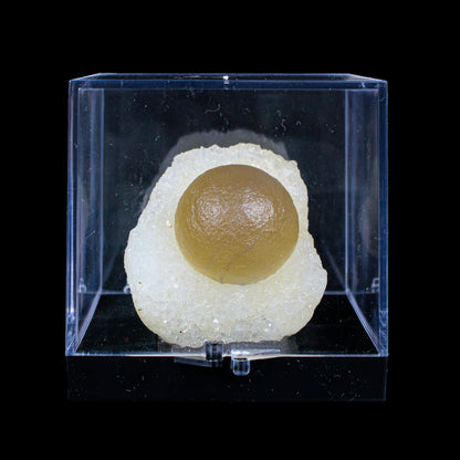 Botryoidal Fluorite on Quartz – Natural Mineral Specimen # B 7162 Fluorite Superb Minerals 