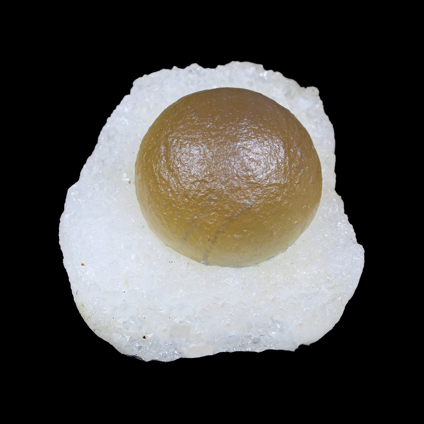 Botryoidal Fluorite on Quartz – Natural Mineral Specimen # B 7162 Fluorite Superb Minerals 
