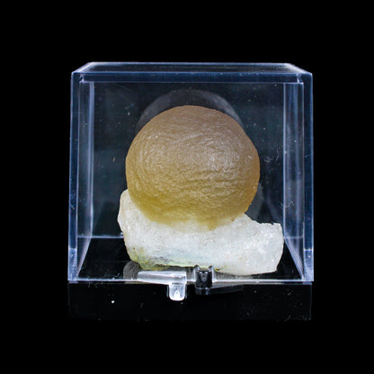 Botryoidal Fluorite on Quartz – Natural Mineral Specimen # B 7164 Fluorite Superb Minerals 