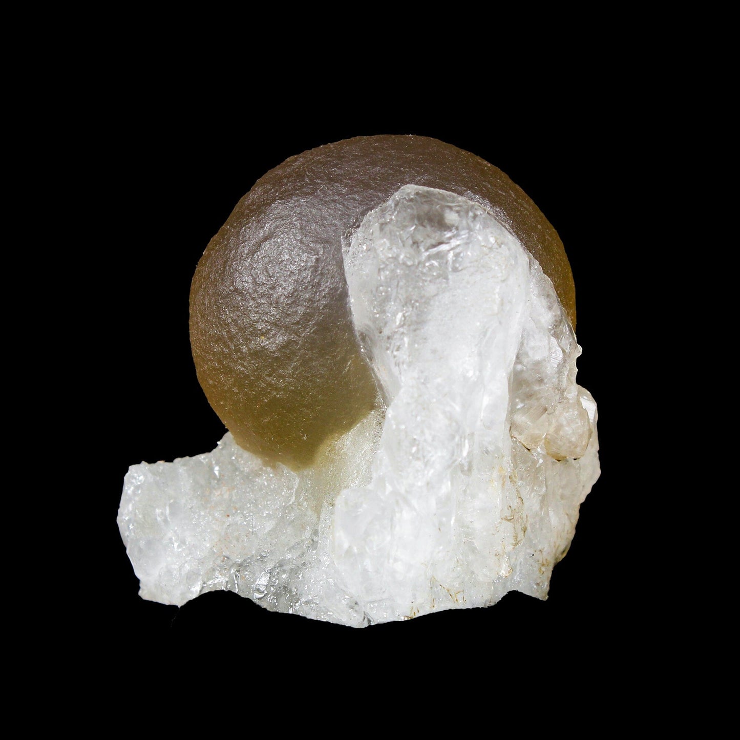 Botryoidal Fluorite on Quartz – Natural Mineral Specimen # B 7164 Fluorite Superb Minerals 