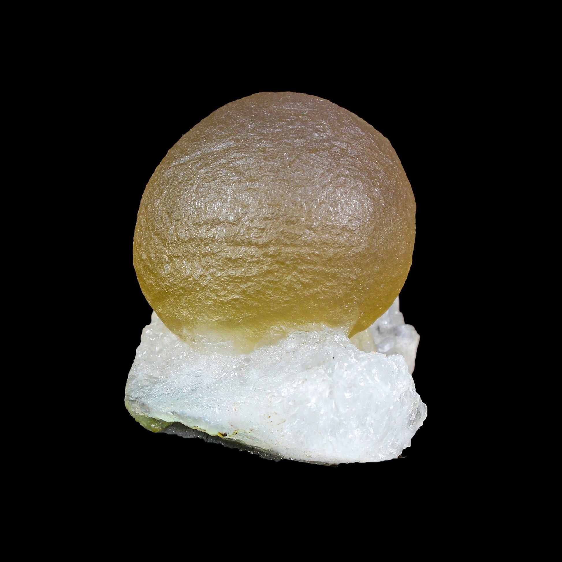 Botryoidal Fluorite on Quartz – Natural Mineral Specimen # B 7164 Fluorite Superb Minerals 