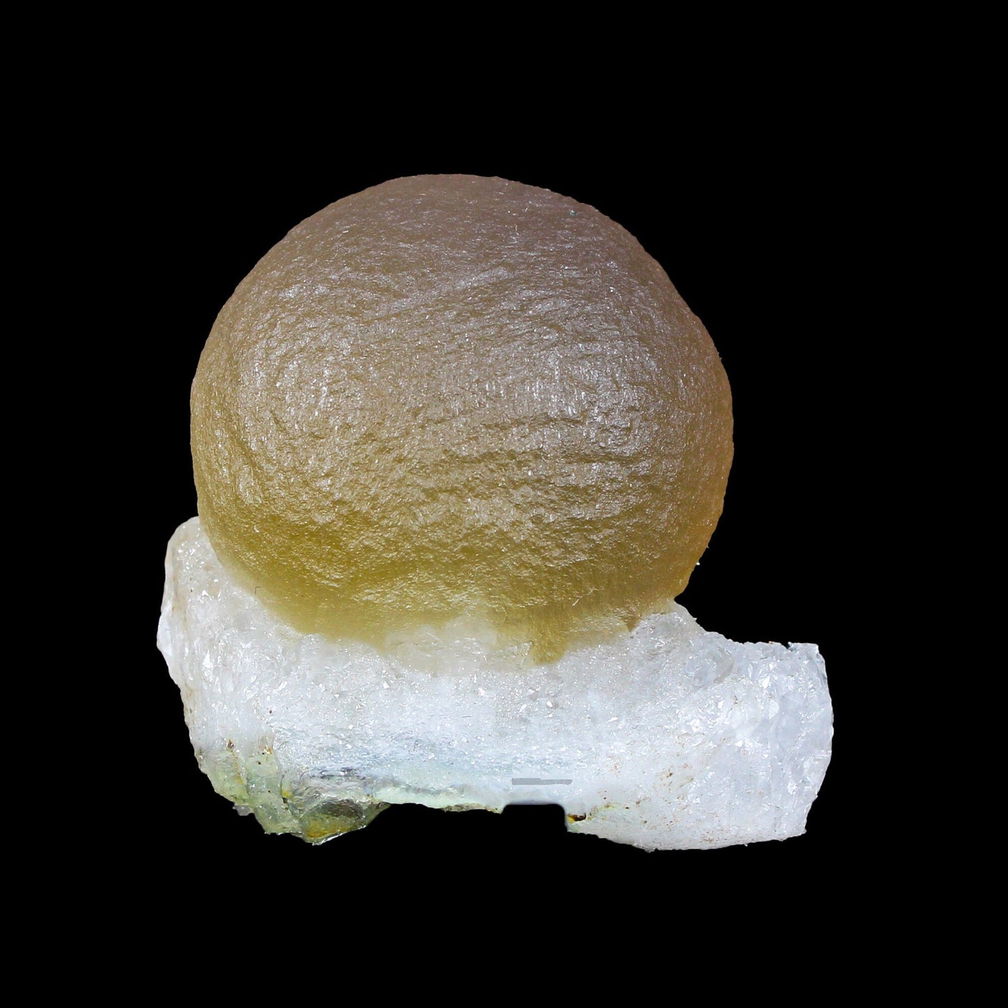 Botryoidal Fluorite on Quartz – Natural Mineral Specimen # B 7164 Fluorite Superb Minerals 